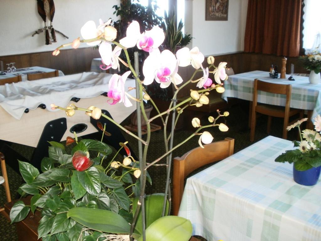 Hotel Pez Ault Disentis Eksteriør billede